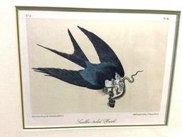 Swallow Tailed Hank Rare Print