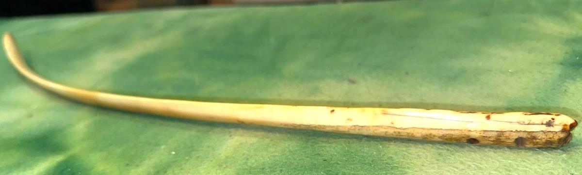 RARE Eskimo Snow Knife- Walrus Ivory- HUGE