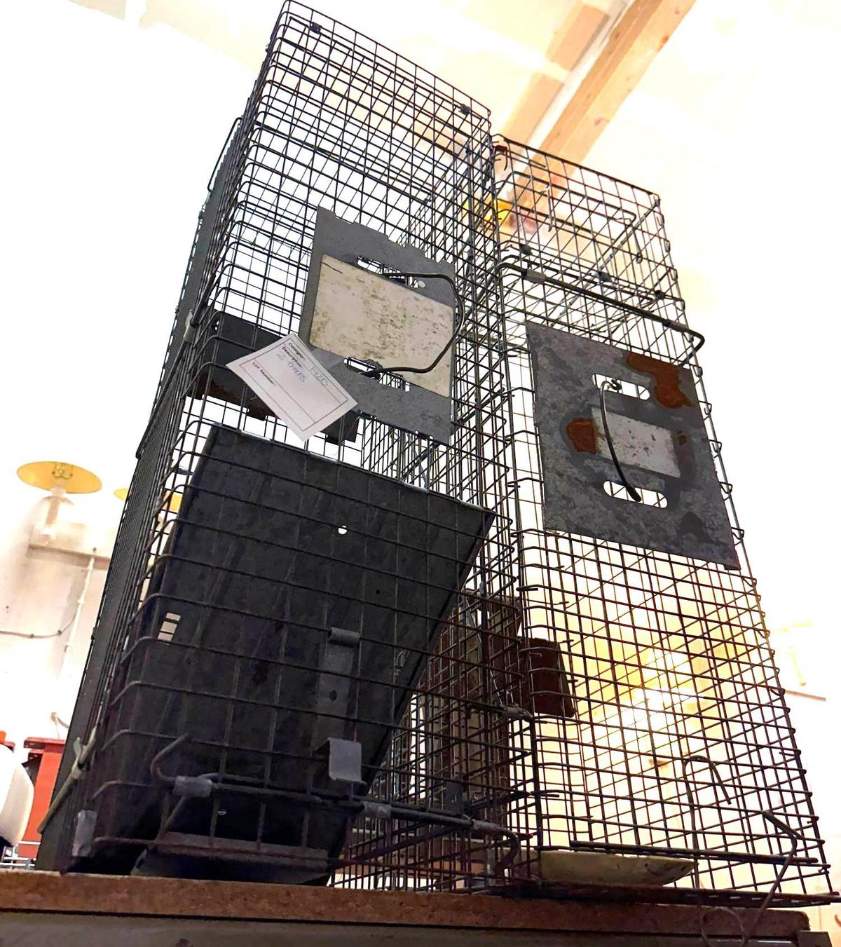 2 Animal Traps