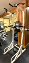 Body by Jake Pull-up Rack