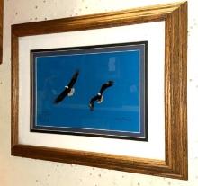 Framed Bald Eagle Picture signed 18" x 14"