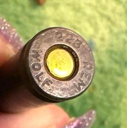 50 Rounds of Wolf 223 Ammo
