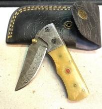 Folding Pocket knife with Sheath 3 1/2" Blade