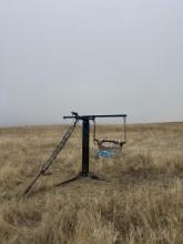 VERNS MFG CATTLE OILER 267
