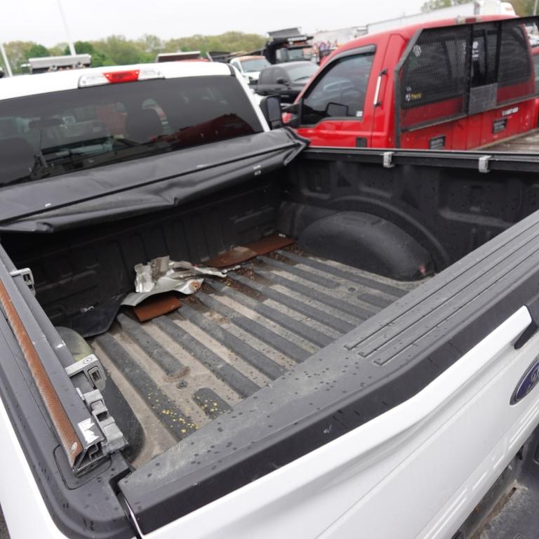 2019 Ford F150 STX Pickup
