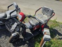 New future ft-d3  3 wheeled electric cart