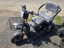 New Future Ft-d3 3 Wheeled Electric Cart