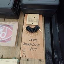 10pcs Cat Keys