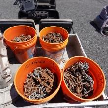 Lot (4) Buckets Misc Chains