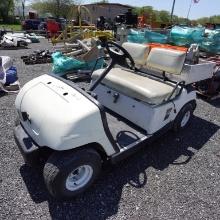 Electric Golf Cart