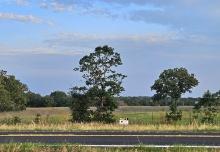 TRACT 1: 11.41 Acres
