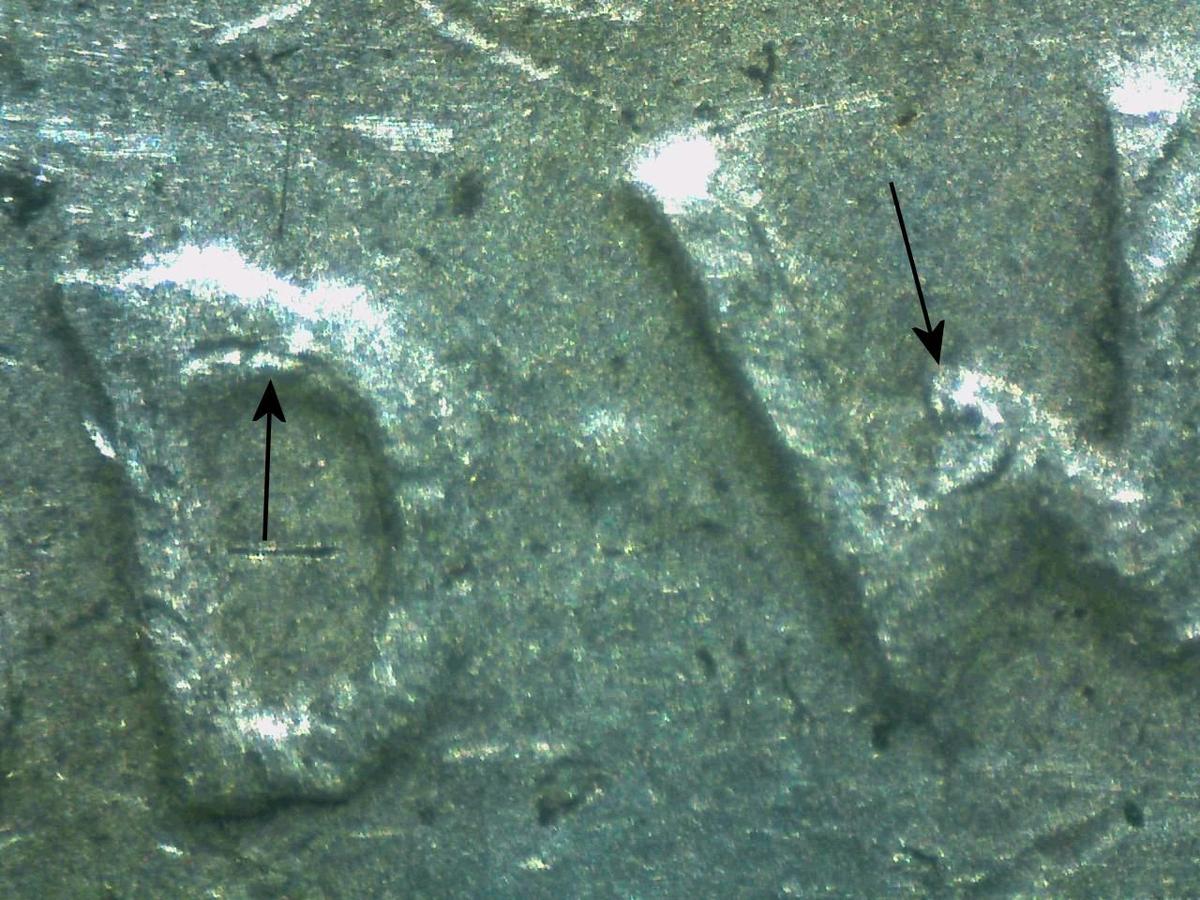 1934-D PEACE DOLLAR DDO