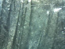 1934-D PEACE DOLLAR DDO