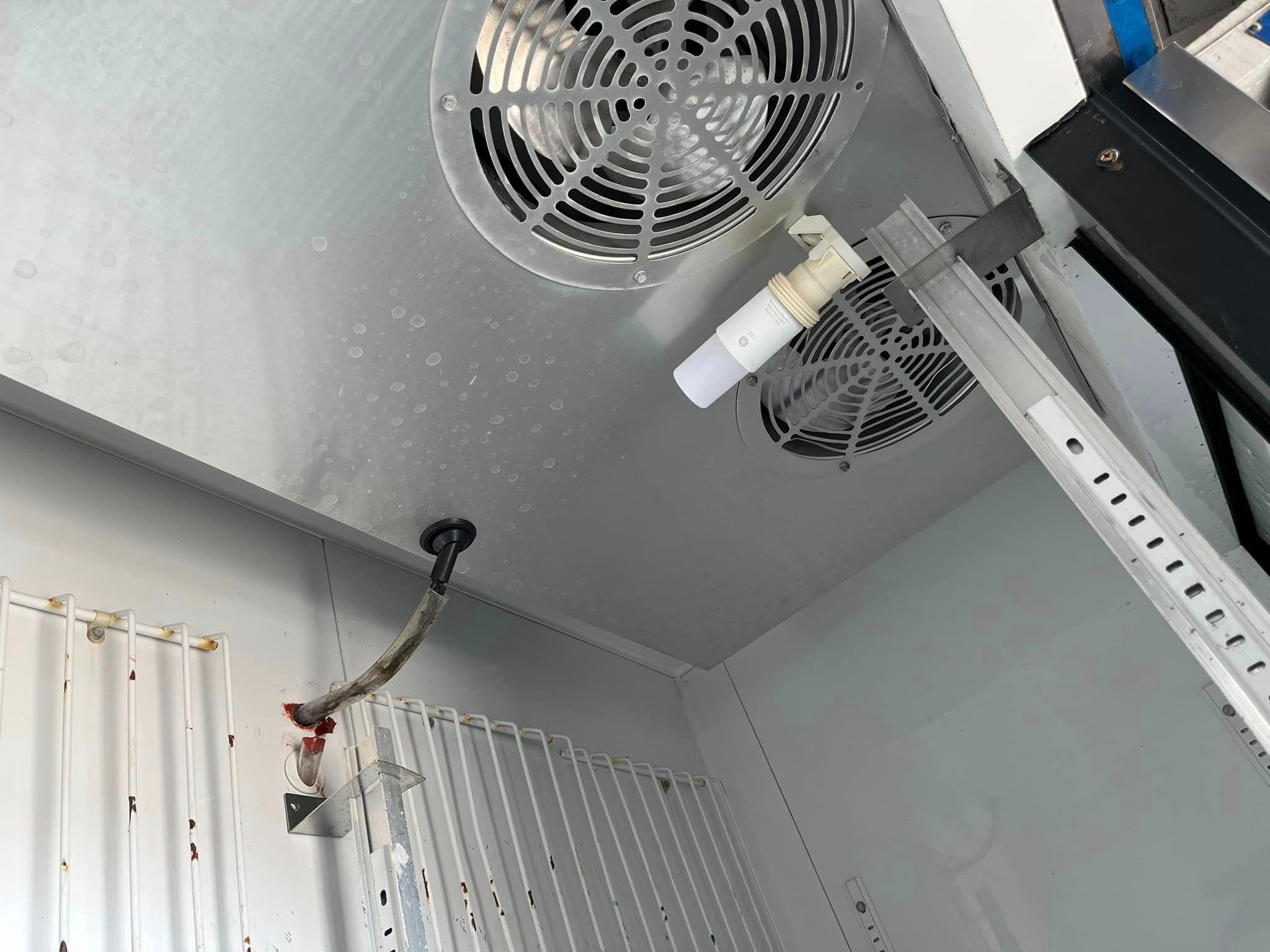 #1 True 2 Door Bottom Mount Reach In Freezer