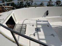 PRO LINE BOAT