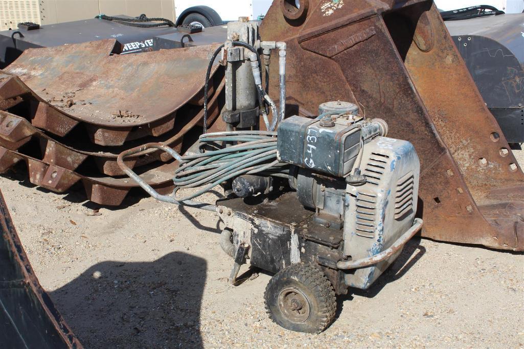 PAINT SPRAYERS WITH HOSE