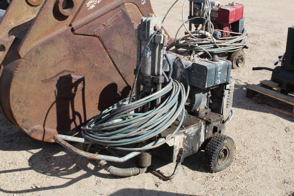 PAINT SPRAYERS WITH HOSE