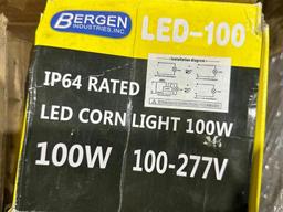 LOT PF ASSORTED LIGHT BULBS