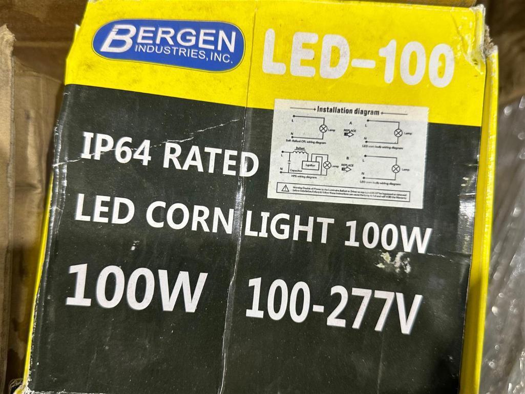 LOT PF ASSORTED LIGHT BULBS