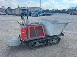 CONCRETE BUGGY