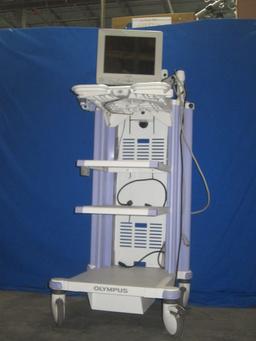 OLYMPUS WM-NP1 Work Station with Sony LCD Monitor