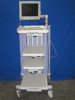 OLYMPUS WM-NP1 Work Station with Sony LCD Monitor