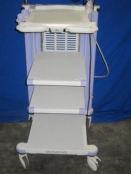 OLYMPUS WM-NP1 Work Station with Sony LCD Monitor