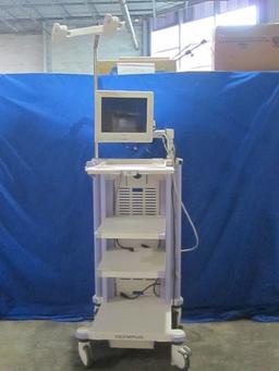 OLYMPUS WM-NP1 Work Station with Sony LCD Monitor