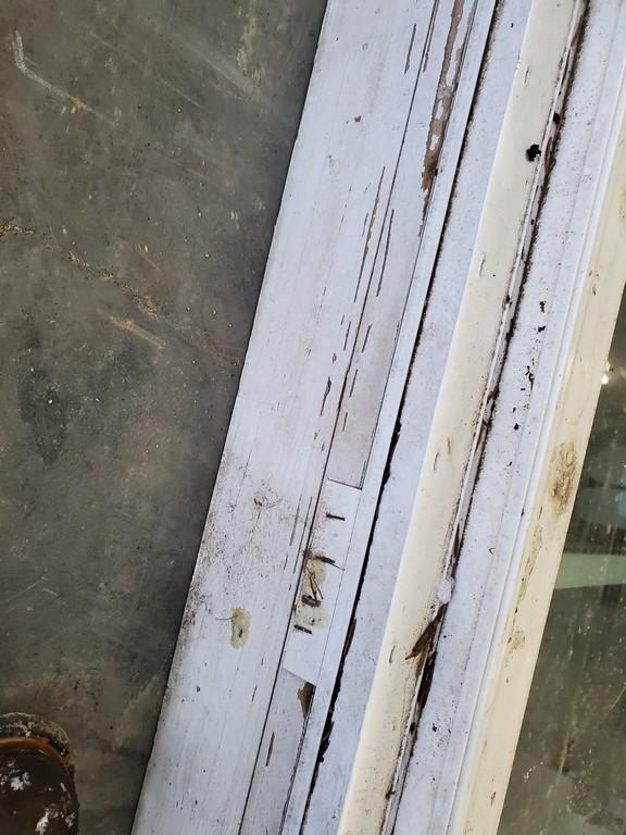 Window