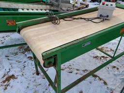 A Z Brusher Equip RBC2406 Sorting Belt
