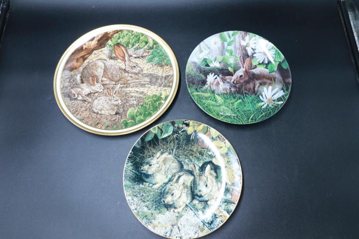 3 Rabbit Plates