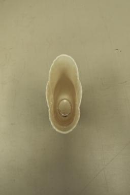 Lenox Vase
