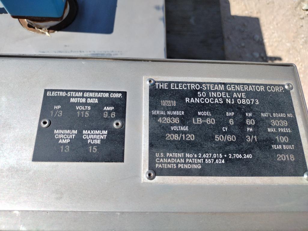 Electro Steam Steamer