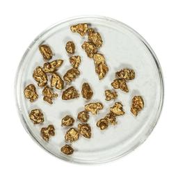 Gold Nuggets 4.82 Grams Total Weight