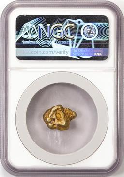 8.21 Gram Yukon Gold Nugget NGC Graded