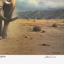 Rob MacIntosh "Elephant Territory" Limited Edition Lithograph on Paper