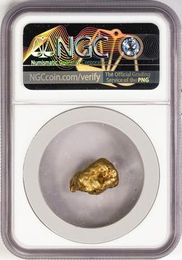 8.88 Gram Yukon Gold Nugget NGC Graded