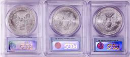 Lot of 1999-2001 $1 American Silver Eagle Coins PCGS MS68 First Strike
