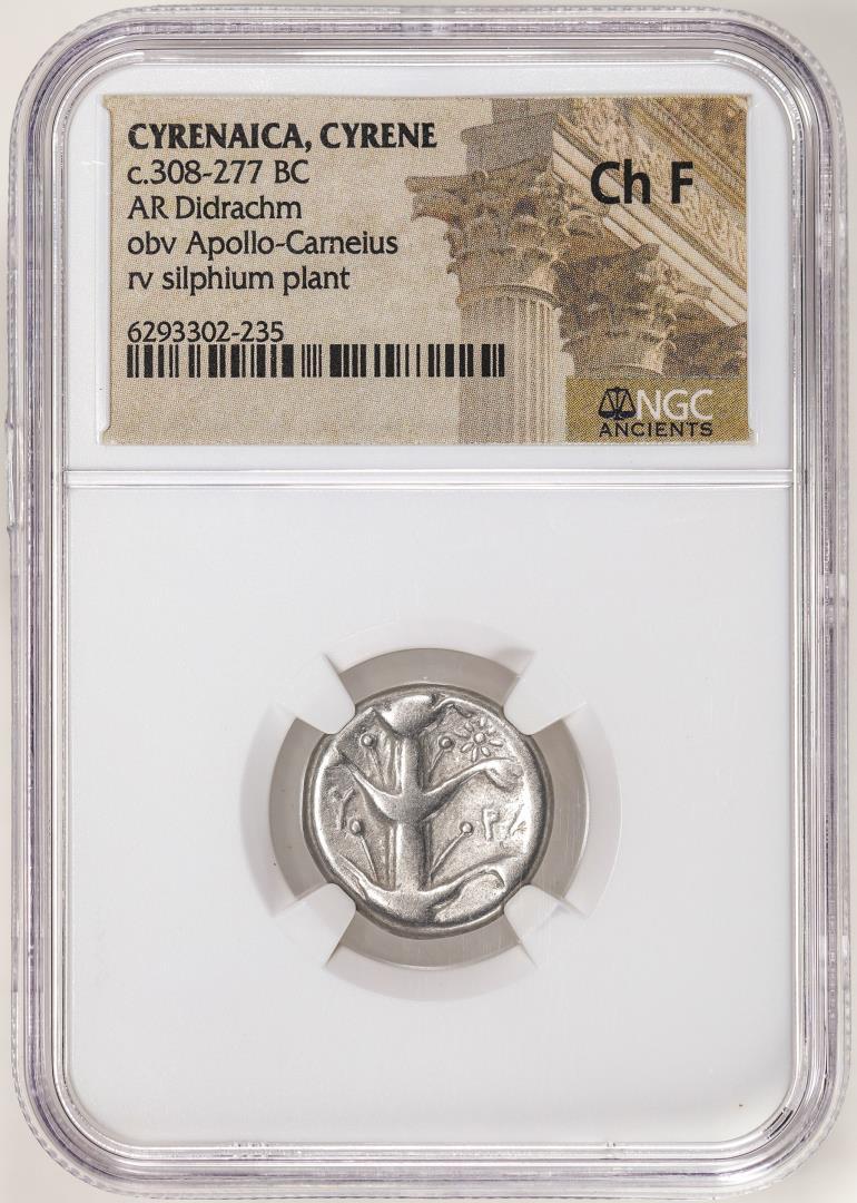 Cyrenaica, Cyrene c.308-277 BC AR Didrachm Ancient Coin NGC Ch F