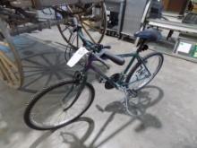 Classic Free Spirit Boys Mtn. Bike, 24'' 15 Speed, Green