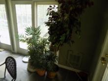 Group of Artificial Plants in Corner (Sun Room)
