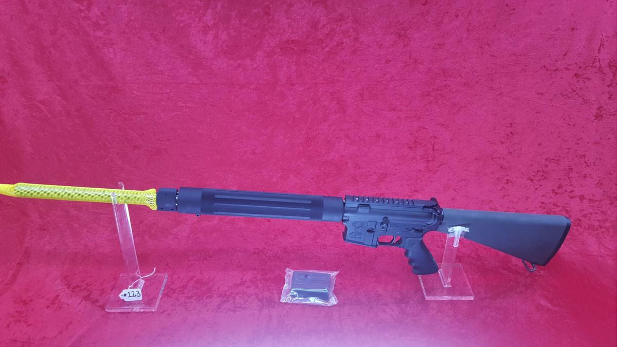 Stag Arms Stag - 15, Model 6