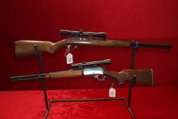 Marlin-Glenfield Model 60, .22 Cal long rifle