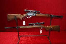 Marlin-Glenfield Model 60, .22 Cal long rifle