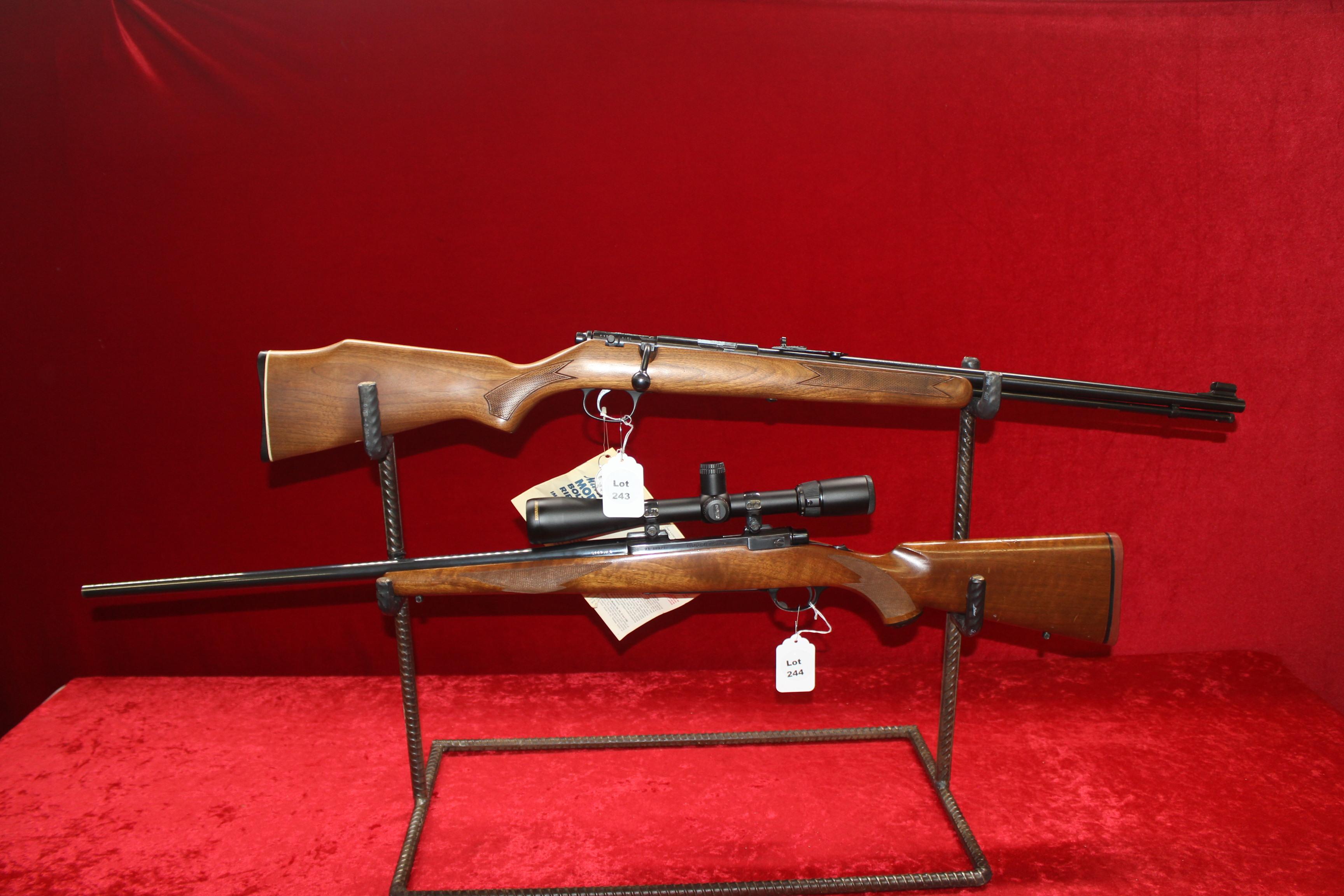 Marlin 22 Model 781