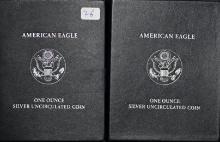(2) 2007 Silver $1.00 Eagle - uncirculated in mint packaging (2 pcs).
