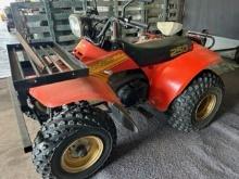 Suzuki Quad Runner 250