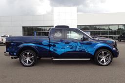 2011 FORD F-150 CUSTOM PICKUP