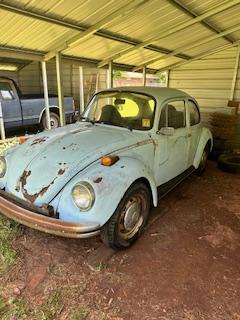 1973 VW Bug