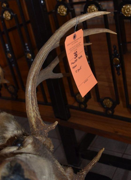 MOUNTED TAXIDERMY DEER HEAD, 10 POINT